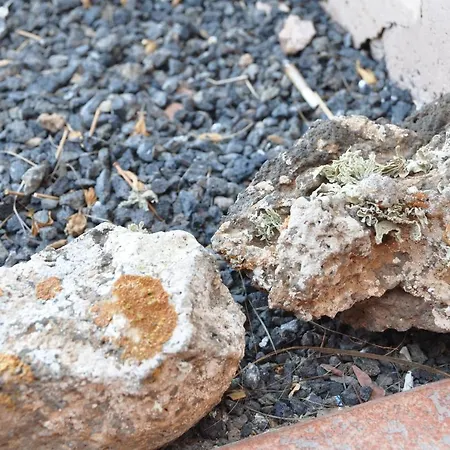 فيلة Sun & Exclusive Stars View